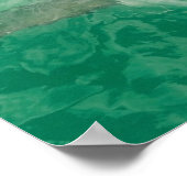 白素晴らしサメ1 ポスター (角)