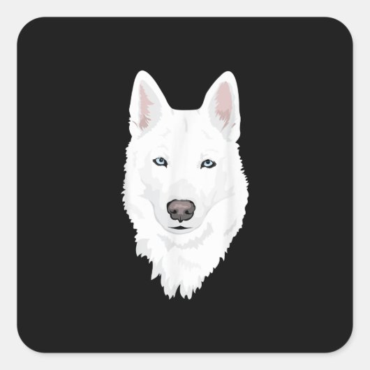 白素晴らしシベリアのハスキー – 甘い白い雪 スクエアシール (正面)