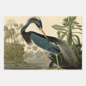 白素晴らしハロンAudubon鳥の野生動物絵画の ラッピングペーパーシート (正面3)