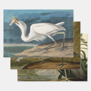 白素晴らしハロンAudubon鳥の野生動物絵画の ラッピングペーパーシート