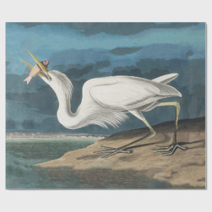 白素晴らしハロンAudubon鳥の野生動物絵画の ラッピングペーパー