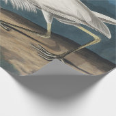 白素晴らしハロンAudubon鳥の野生動物絵画の ラッピングペーパー (角)