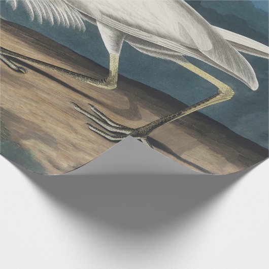 白素晴らしハロンAudubon鳥の野生動物絵画の ラッピングペーパー (角)