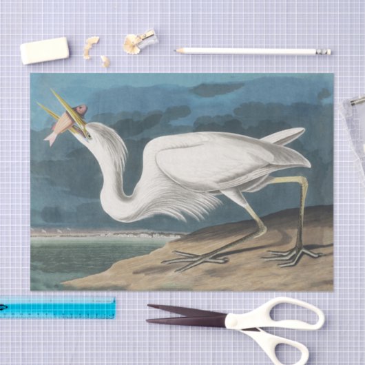 白素晴らしハロンAudubon鳥の野生動物絵画の 薄葉紙 (クラフト)