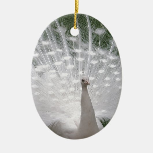 白素晴らし孔雀 セラミックオーナメント (正面)