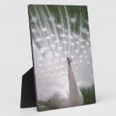 白素晴らし孔雀 フォトプラーク (側面)