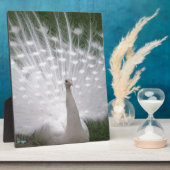 白素晴らし孔雀 フォトプラーク (側面)