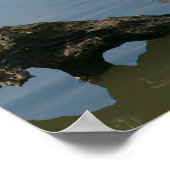 白素晴らし緑 ポスター (角)