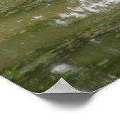 白素晴らし緑 ポスター (角)