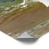 白素晴らし緑 ポスター (角)