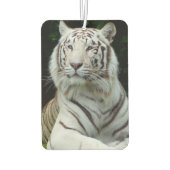 白素晴らし虎 カーエアーフレッシュナー (裏面)