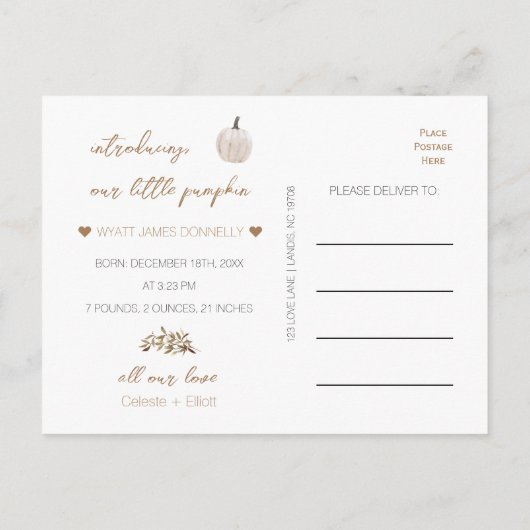 白素朴Boho Pumpkin写真誕生のお知らせ 案内ポストカード (裏面)