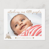 白素朴Boho Pumpkin写真誕生のお知らせ 案内ポストカード (正面)