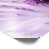 白紫色の花 フォトプリント            (角)