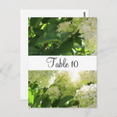 白紫陽花テーブル席 ポストカード (正面/裏面)