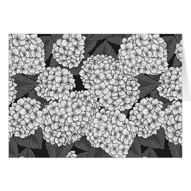 白紫陽花 (正面横)