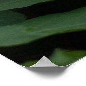 白紫陽花 ポスター (角)