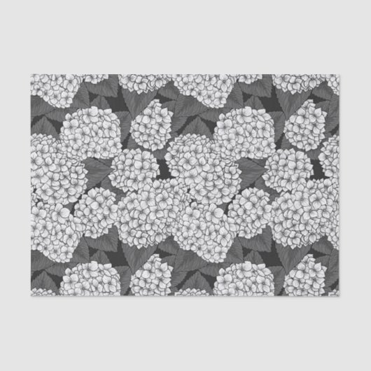 白紫陽花 薄葉紙 (正面)