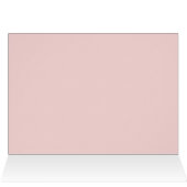 白結婚聖書のバラ (内部横(上))