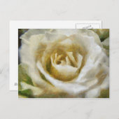 白絵を描バラはがき ポストカード (正面/裏面)