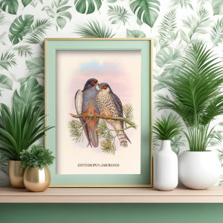 白羽の赤足筋 ポスター