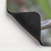 白耳付つきのハチドリのマウスパッド マウスパッド (コーナー)