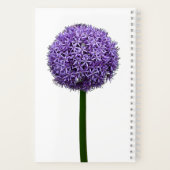 白背景の紫色の球形アリウムの花 ノートブック (裏面)
