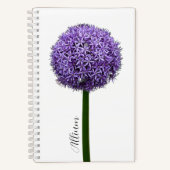 白背景の紫色の球形アリウムの花 ノートブック (正面)