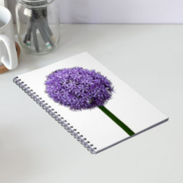 白背景の紫色の球形アリウムの花 ノートブック