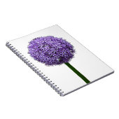 白背景の紫色の球形アリウムの花 ノートブック (右側)