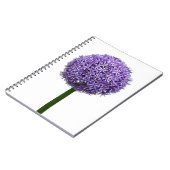白背景の紫色の球形アリウムの花 ノートブック (左側)