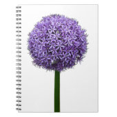 白背景の紫色の球形アリウムの花 ノートブック (正面)