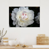 白色で色のTouch ポスター (キッチン)