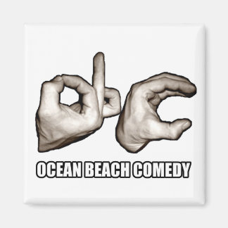 白色の磁石 マグネット