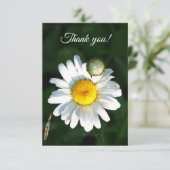 白色デイジー文字サンキューカード サンキューカード (スタンド正面)