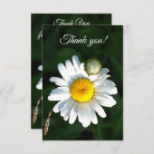 白色デイジー文字サンキューカード サンキューカード (正面/裏面)