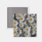 白色デイジー磁石 マグネット (正面/裏面)