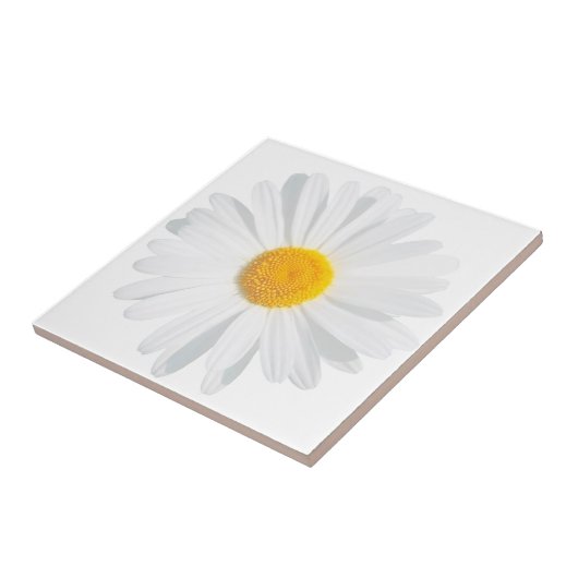 白色デイジー タイル (側面)