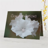 白色フローラ設計者 カード (黄色い花)