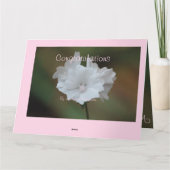 白色フローラ設計者 カード (裏面)