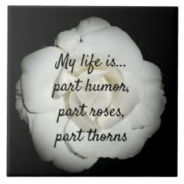 白色ローズセラミックタイル タイル