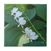 白色出血ハートフローラ タイル (正面)