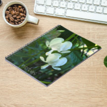 白色出血ハートフローラ