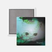 白色子猫磁石 マグネット (正面/裏面)