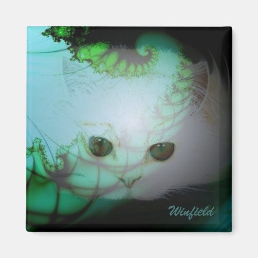 白色子猫磁石 マグネット (正面)