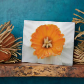 白色水仙（疝）痛 フォトプラーク (側面)