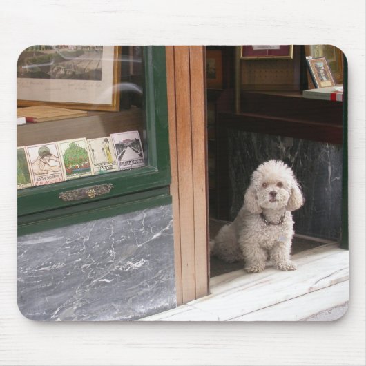 白色矮性魚類 マウスパッド (正面)