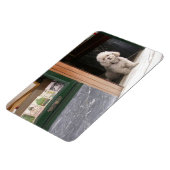 白色矮性魚類 マグネット (左側)