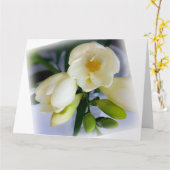 白色黄色斑 カード (黄色い花)