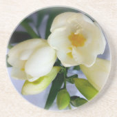 白色黄色斑 コースター (正面)